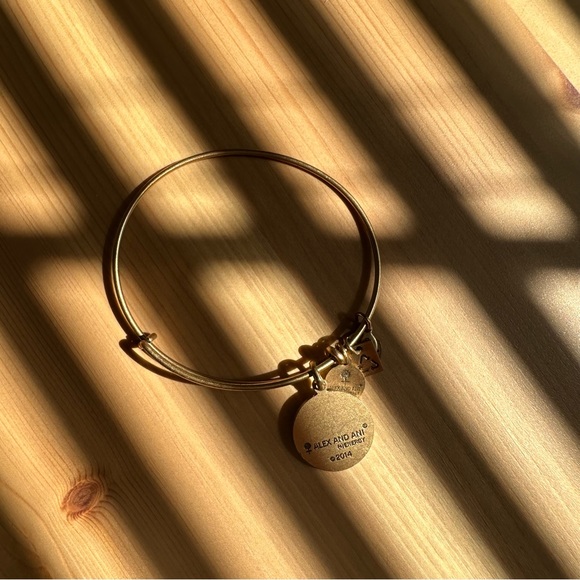 Alex and Ani “Let Creativity Rule” gold bracelet - Picture 3 of 3